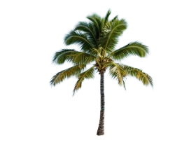 Miami-Dade, Florida Miami Beach - Doral - Miami